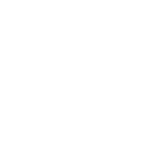 Para empresas consolidadas